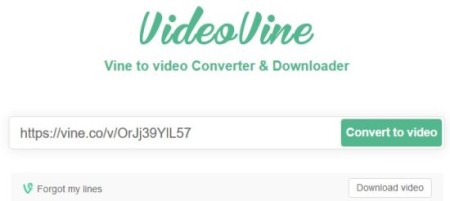 vine to video converter 1