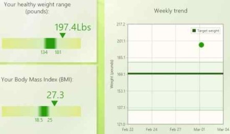 weight and bmi tracker display 1