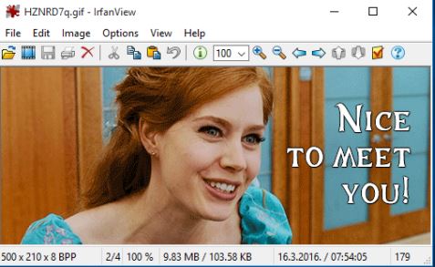 GIF viewer software windows 10 1