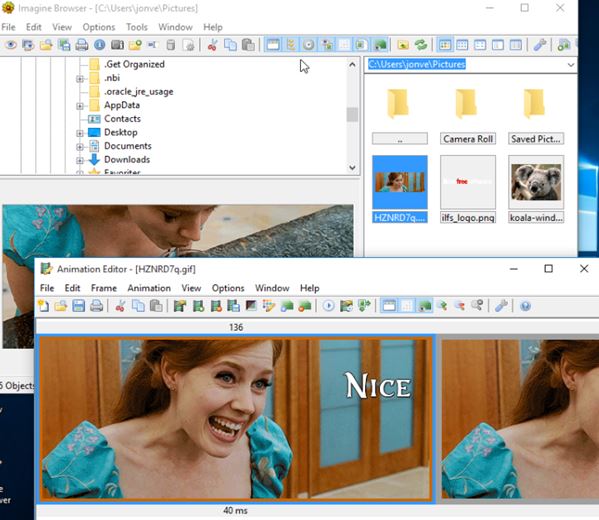 GIF viewer software windows 10 4