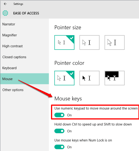 access settings to turn on mouse keys