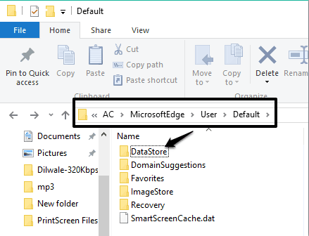 access Default folder of Microsoft Edge
