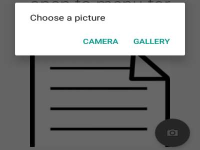 camera button