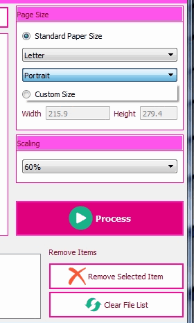 set scaling and paper size and start the conversion