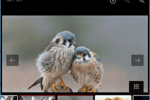 LightGallery- free image viewer with animated GIF play feature
