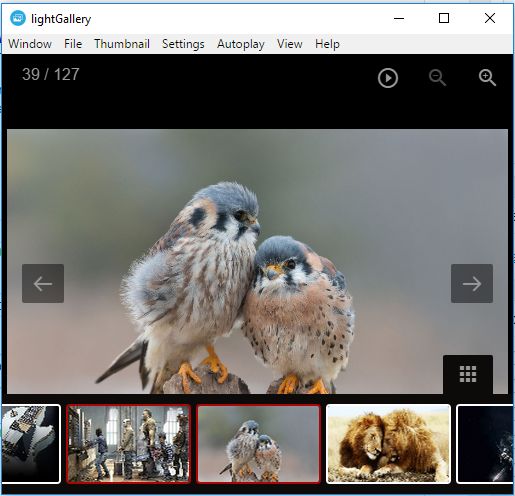 LightGallery- free image viewer