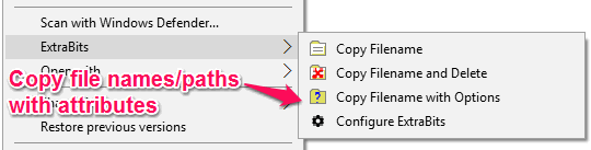 copy file names with attributes