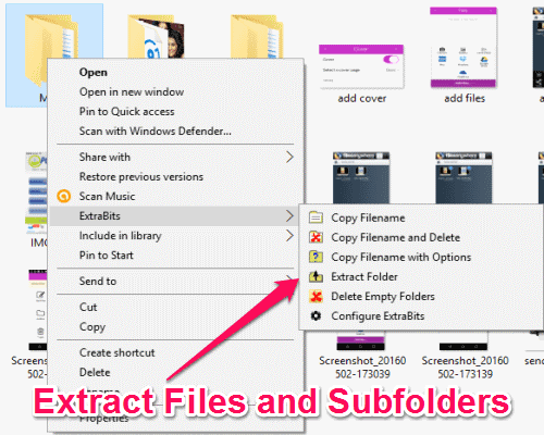 extract subfolders and files