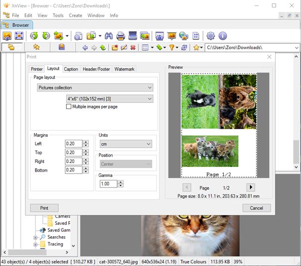 photo printing software windows 10 1