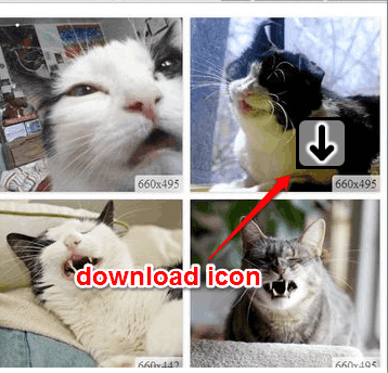 download icon