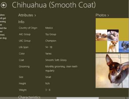 the canine catalog attributes