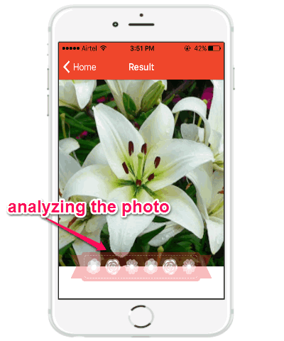 analyzing photo