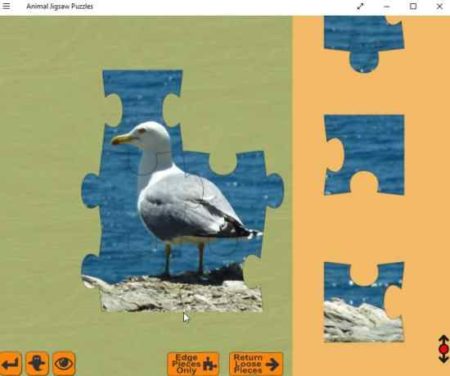 animal jigsaw puzzles solveing