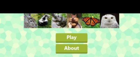 animal quiz home