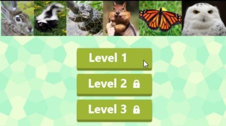 animal quiz levels