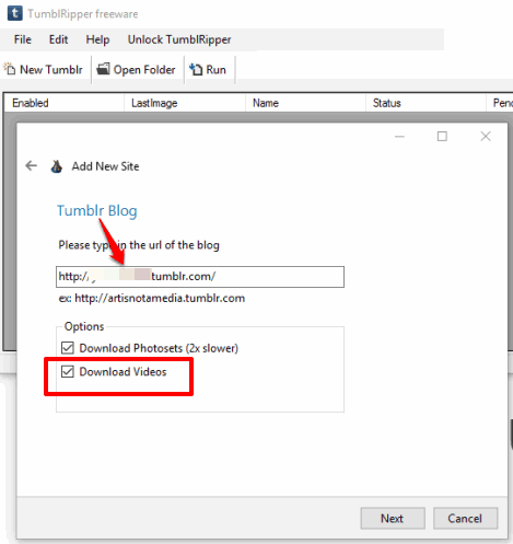 enter tumblr blog url and enable download videos option