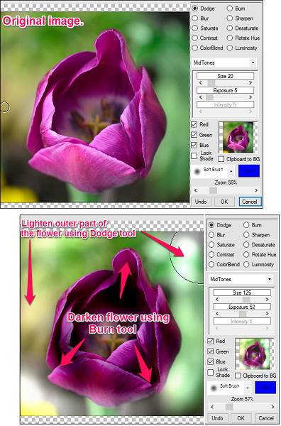 paint.net Dodge and Burn