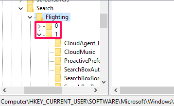 0 and 1 registry keys under flighting key