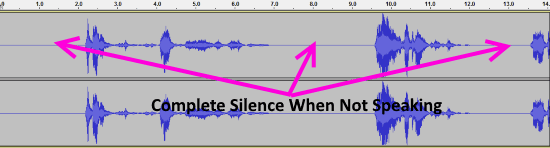 Audacity Noise Gate Waveform