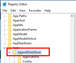 access AppxAllUserStore key