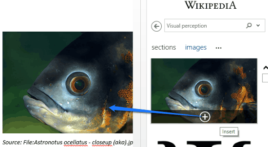 insert wikipedia images to word