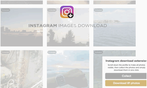 Download Images, Videos from Any Instagram Profile as Zip File
