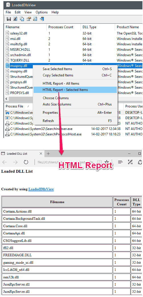 Loaded DLLS View html report