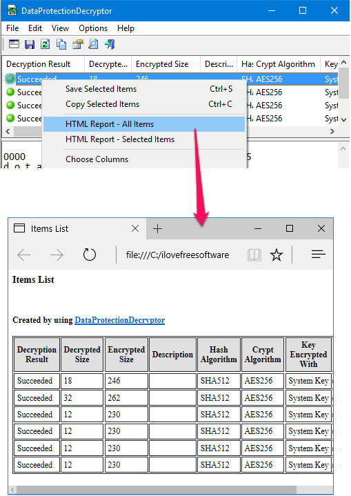 DataProtectionDecryptor generating report