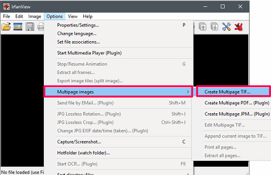IrfanView options for multipage images
