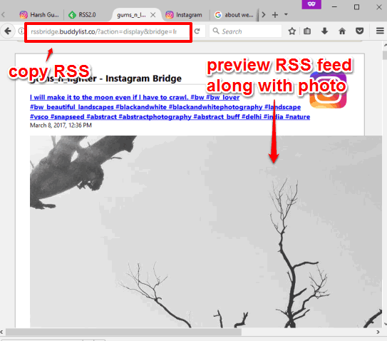 preview rss feed and copy rss url