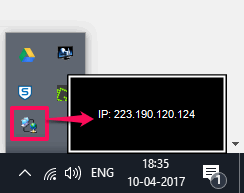 true ip showing ip system tray