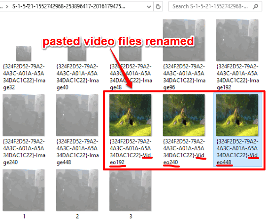 video files renamed