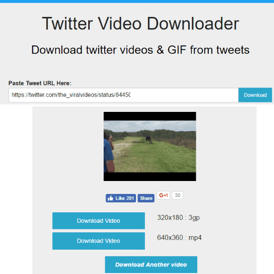 TwitterVideoDownloader.com interface