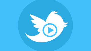 free twitter video downloader websites