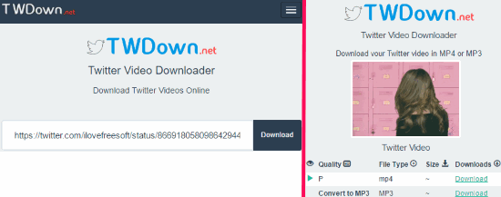 TWDown- online Twitter GIF downloader