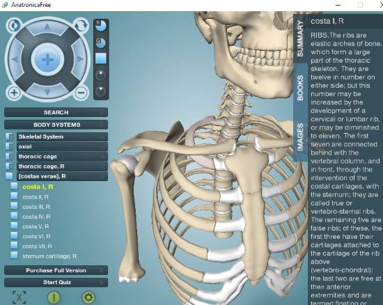 3d human anatomy software
