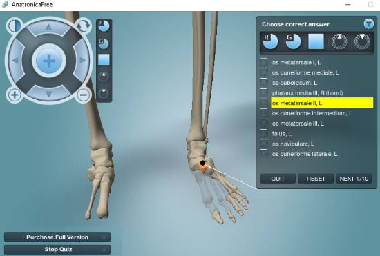 3d human anatomy software