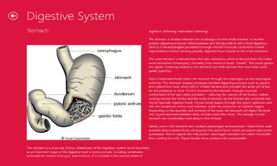 human body system