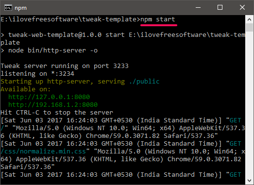 npm server start command