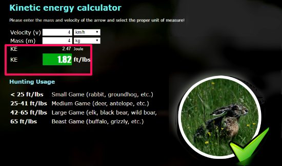 Kinetic Energy Calculator dedicated