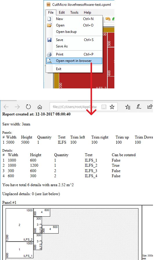 cutmicro design view report in browser