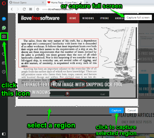use snapshot icon to capture screenshot in opera