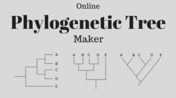 Free Phylogenetic Tree maker Website To Create Phylogenetic Tree Online
