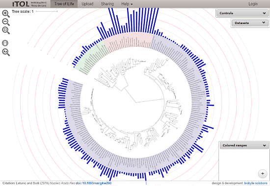 Free Phylogenetic Tree maker Website To Create Phylogenetic Tree Online