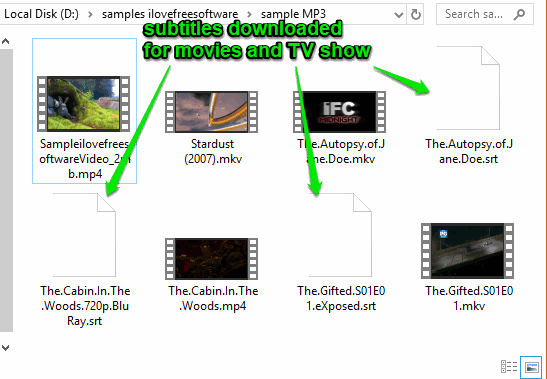 subtitles downloaded for movies and tv show
