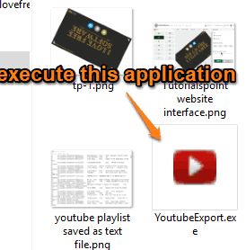 execute software application