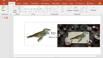 remove background from a photo in ms powerpoint