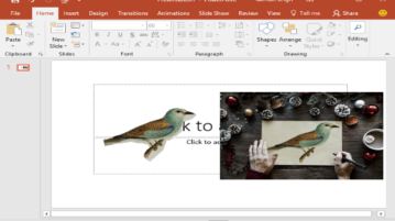 How To Remove Background from A Photo In MS PowerPoint remove background from a photo in ms powerpoint