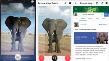 5 Free Reverse Image Search Apps for Android