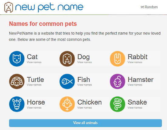 new pet name generator
